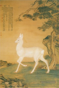 Lang brillant cerf blanc ancienne Chine encre Giuseppe Castiglione cerf Peinture à l'huile